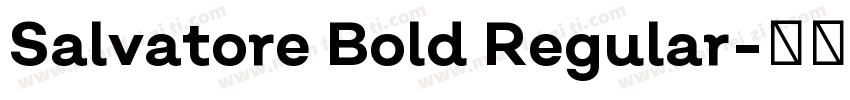 Salvatore Bold Regular字体转换